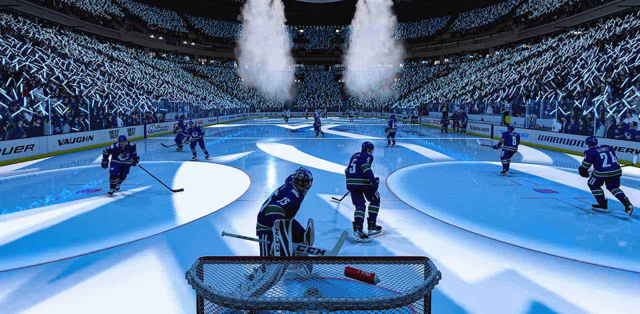 The National Hockey League (NHL)