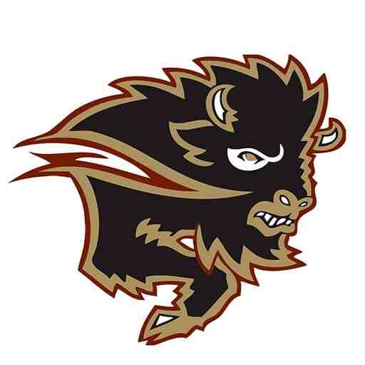 University of Manitoba Bisons Hockey